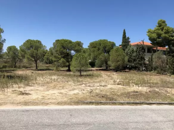 Land In Sithonia, Greece