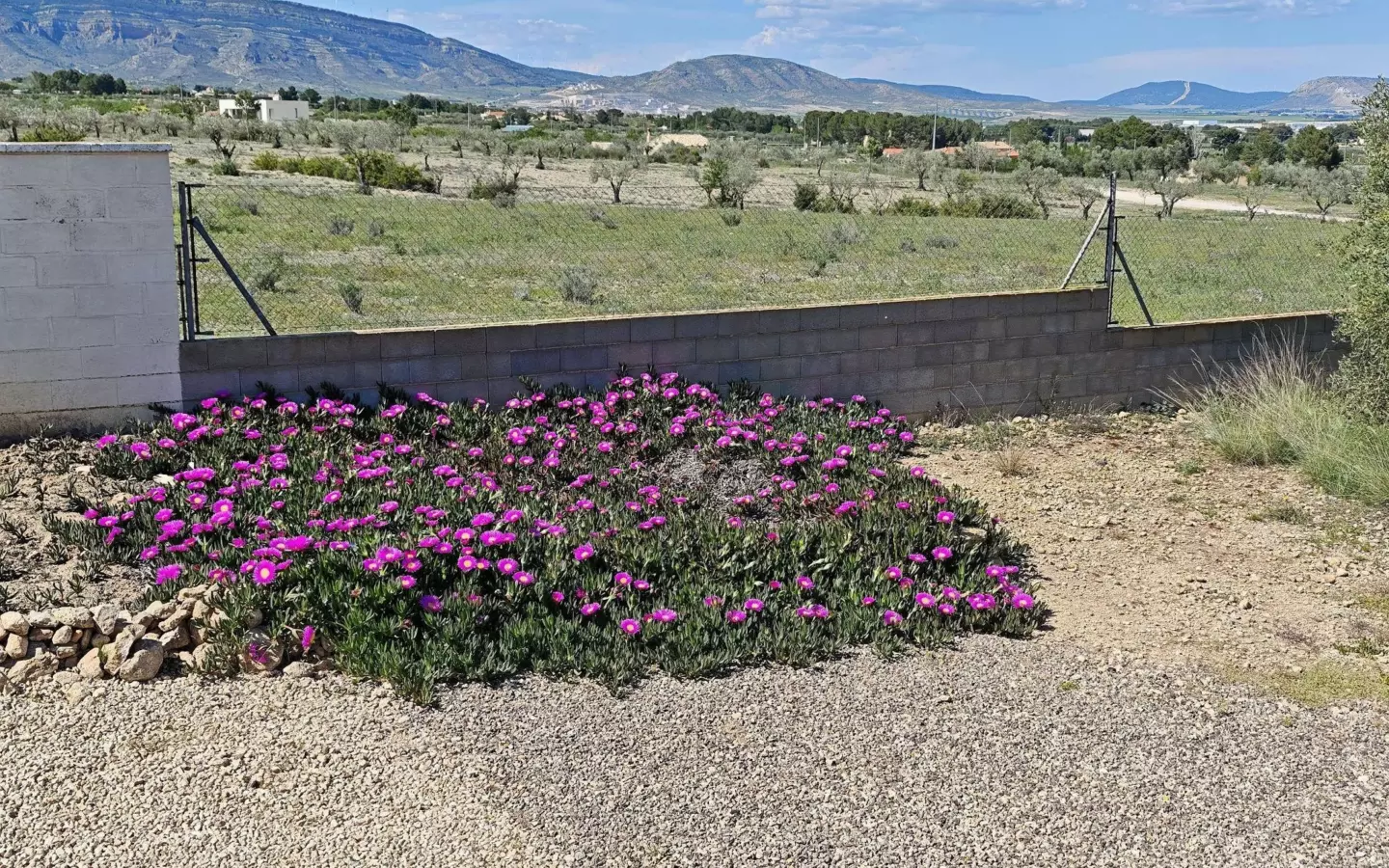 4-bedroom Country House In Caudete, Spain (210 M²)
