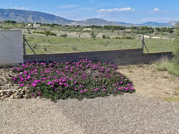 4-bedroom Country House In Caudete, Spain (210 M²)
