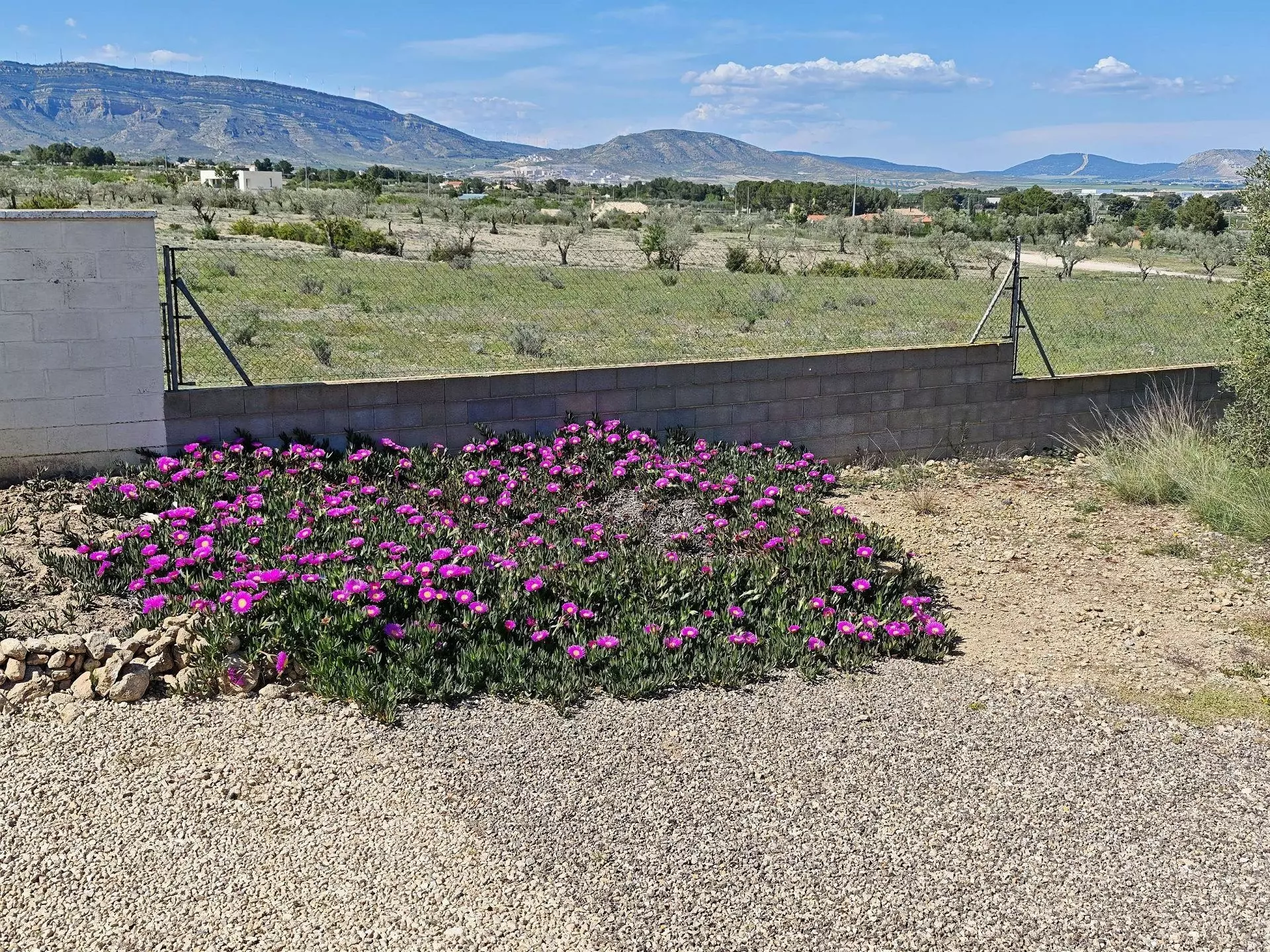 4-bedroom Country House In Caudete, Spain (210 M²)