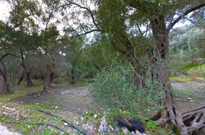 Land In Paxoi, Greece