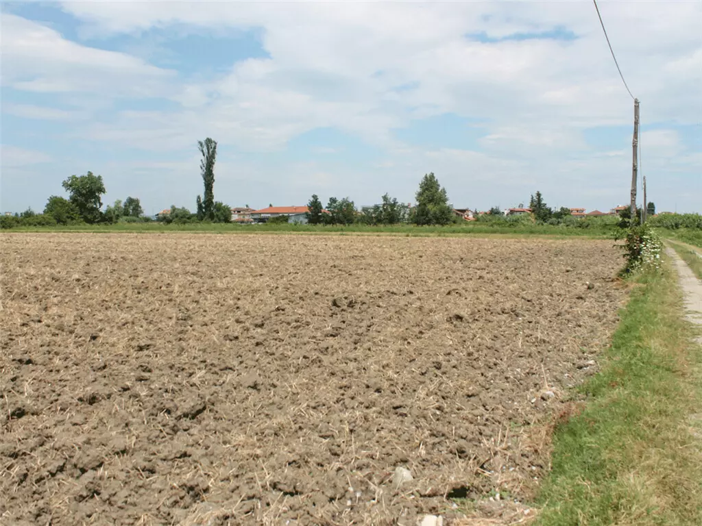 Land In Katerini, Greece