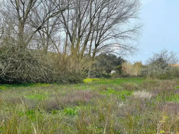 Land In Corfu, Greece