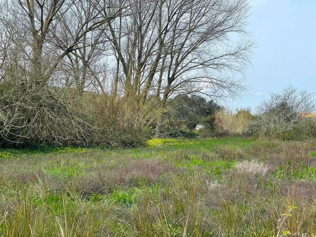 Land In Corfu, Greece