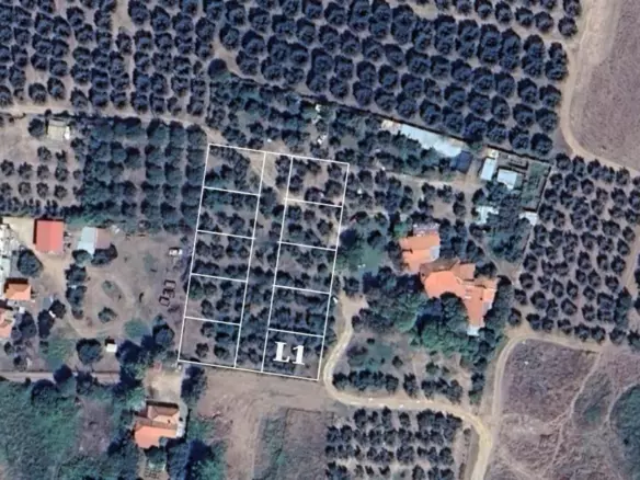 Land In Poligiros, Greece