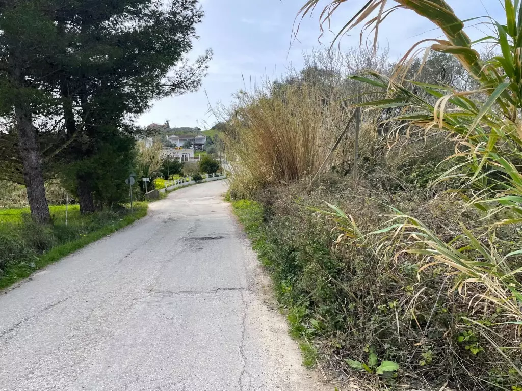 Land In Corfu, Greece